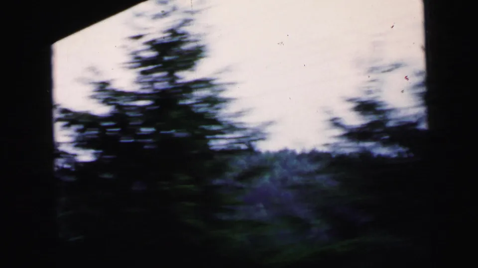 Roadside trees blur past a moving vehicle window with visible film dust, from an 8mm home movie circa 1964.