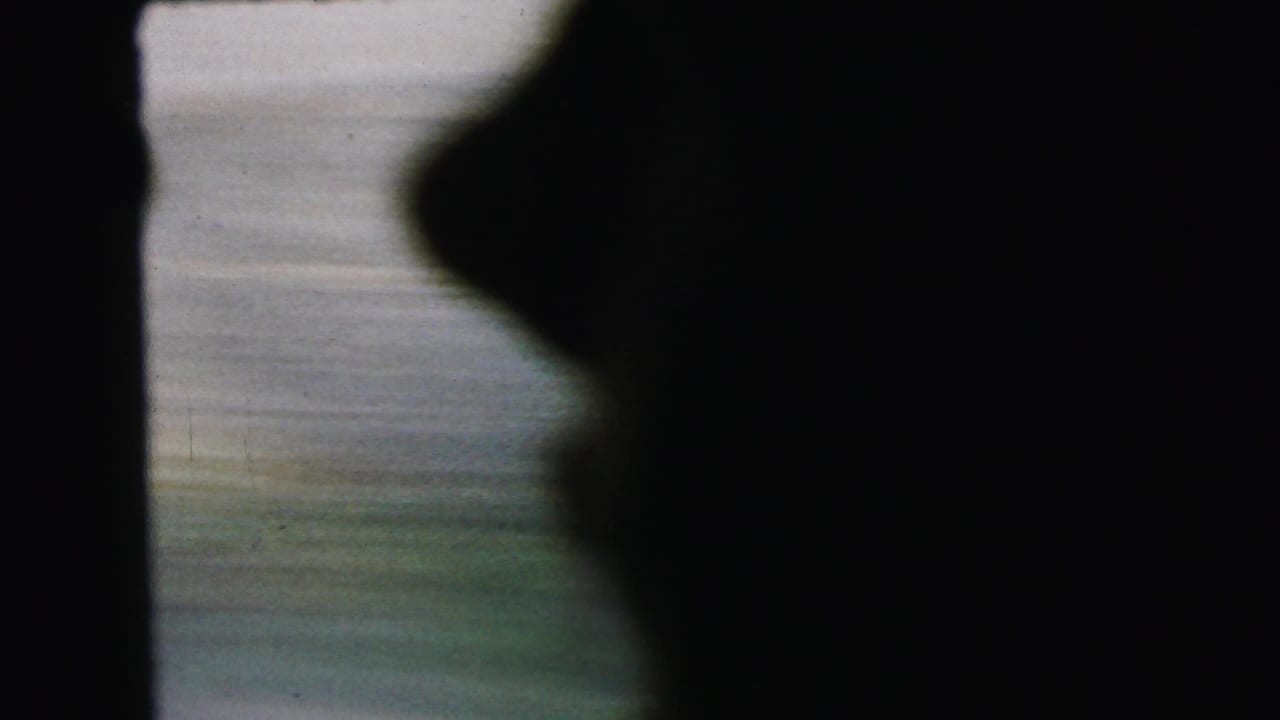 Blurred transitional frame with dark silhouette at right edge and indistinct outdoor background.