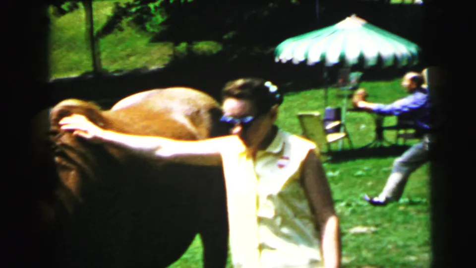 8mm home movie c.1964: adult in yellow shirt tends a brown horse on a residential lawn; green-and-white patio umbrella and seated guests in background