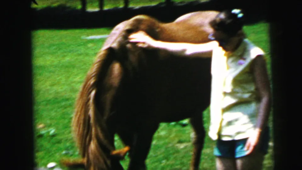 Woman in mid-1960s casual dress pets a brown horse on a sunlit lawn, 8mm home movie, Camden, New Jersey area, circa 1964.
