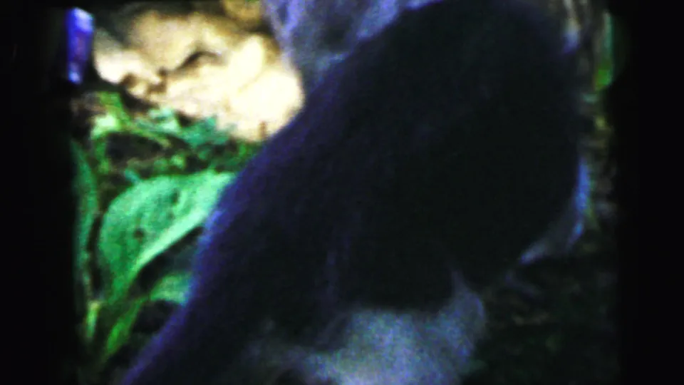 8mm close-up of a dark cat in a garden setting with green foliage, golden soil, and a bluish accent at the left edge; 1964, Camden NJ per title metadata.