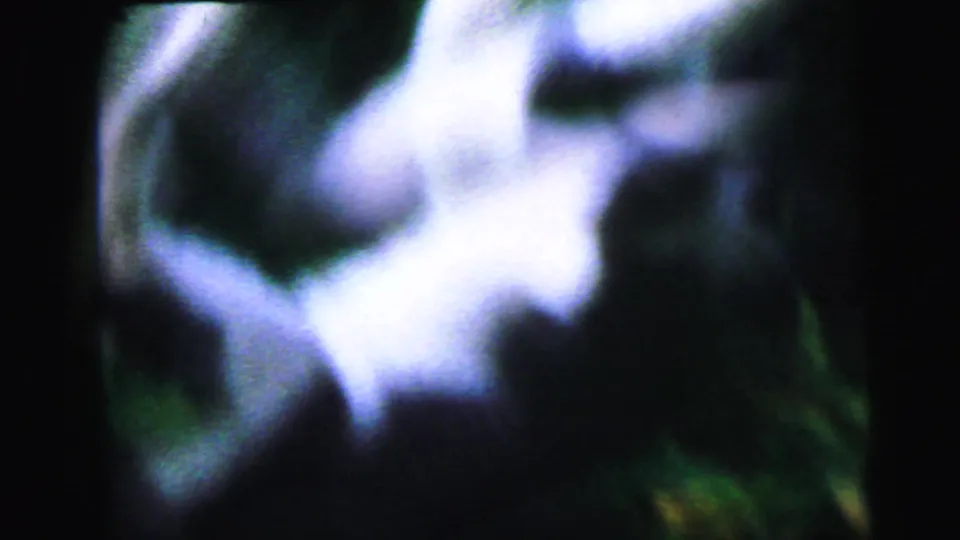 Near-total motion blur on 8mm home movie frame during cat tumble sequence, circa 1964; subject and camera movement render detail indistinct.