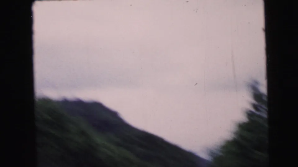 8mm home-movie frame circa 1964: tree-covered hill under overcast sky with motion-blurred roadside foliage at the right edge indicating continued vehicle movement.