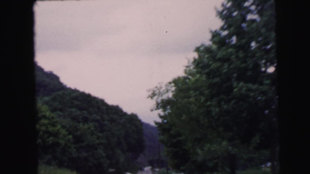 View through a car window of a large deciduous tree and wooded hillside under an overcast sky, shot on 8mm film.