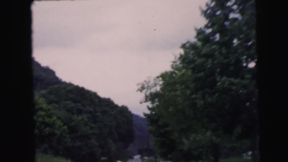 8mm home movie frame from 1964 — passenger-window view of a broadleaf tree and forested hillside, attributed to the Camden, NJ area.