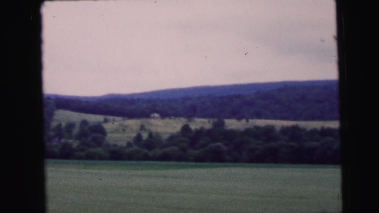 Passenger-window view of open green meadows and rolling forested hills under a pale overcast sky, shot on 8mm film.