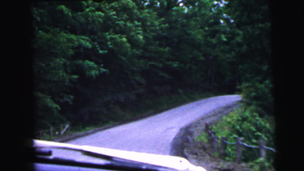 View through car windshield of a winding tree-lined rural road with a guardrail; white car hood visible in the foreground.