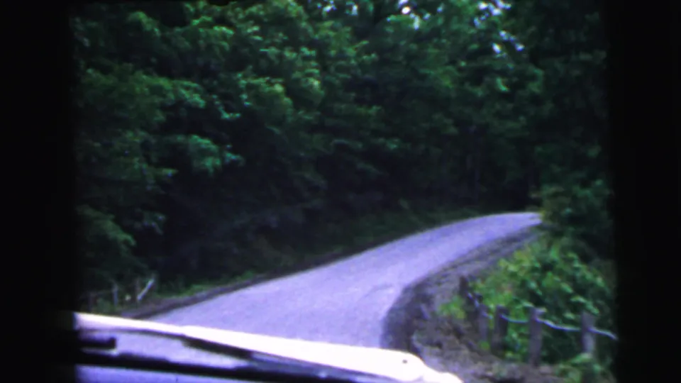 8mm home movie POV shot from inside a moving car on a winding rural road flanked by dense deciduous trees, likely New Jersey, c.1964.