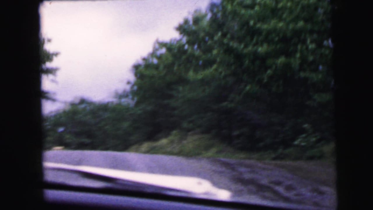 Car-window POV of a rural road through green trees; overcast pale sky visible above tree line, car hood at the bottom of the frame.