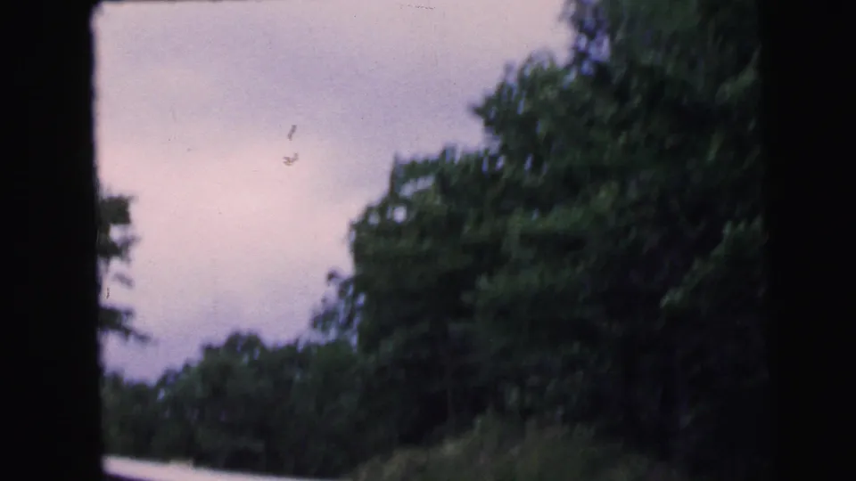 8mm home movie frame tilting toward overcast sky above a wooded roadside, from a 1964 New Jersey road trip.