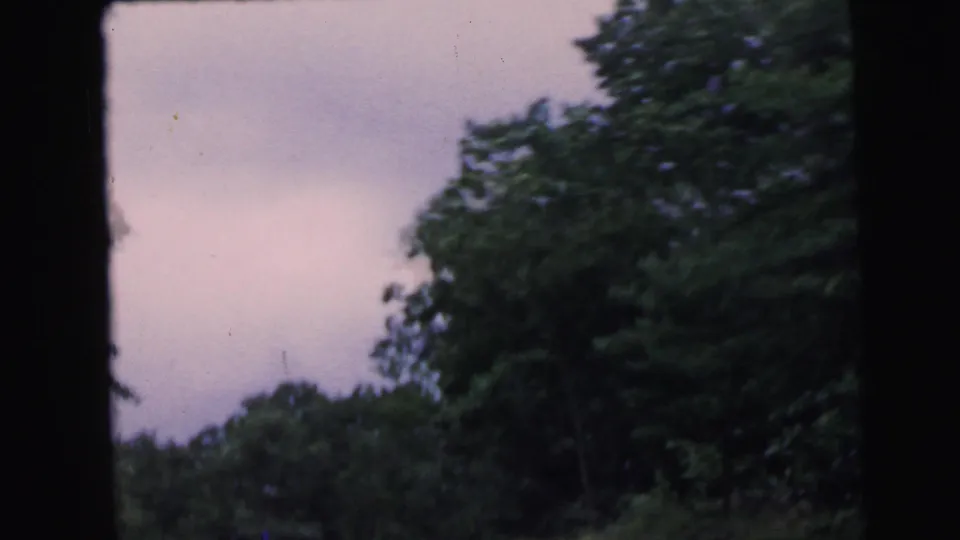 8mm home movie final frame showing pale overcast sky and wooded roadside, from a 1964 New Jersey road trip.