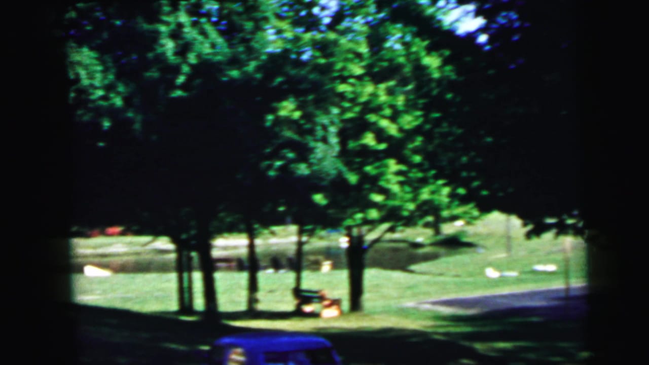 8mm home movie frame, c. 1964, showing a wide suburban lawn with mature summer trees, dappled shade, and a curved road or driveway at the lower edge.