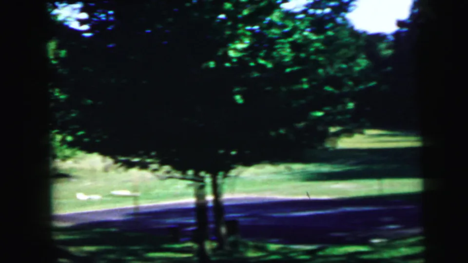 8mm home movie frame, c. 1964, showing a shaded tree-lined lawn with dense summer foliage and a road or driveway at the lower edge, captured mid-pan.