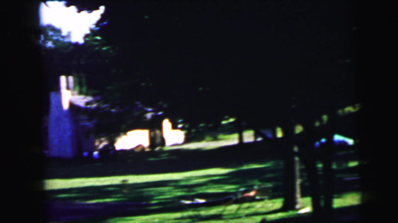 Dark, tree-shaded residential yard with dappled sunlight on green grass and a light-coloured structure partially visible at the left edge.