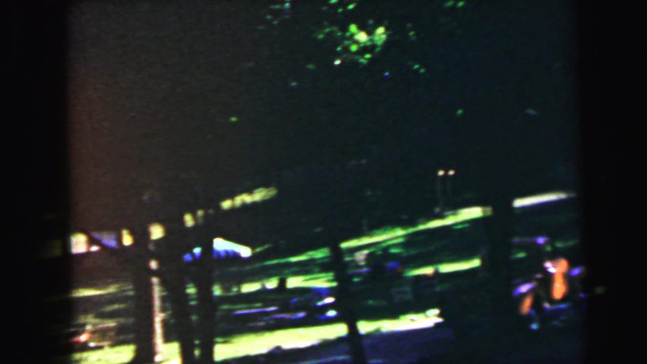 Tree-lined yard with bright sunlit patches on green lawn; heavy canopy shadow leaves most of the frame dark.