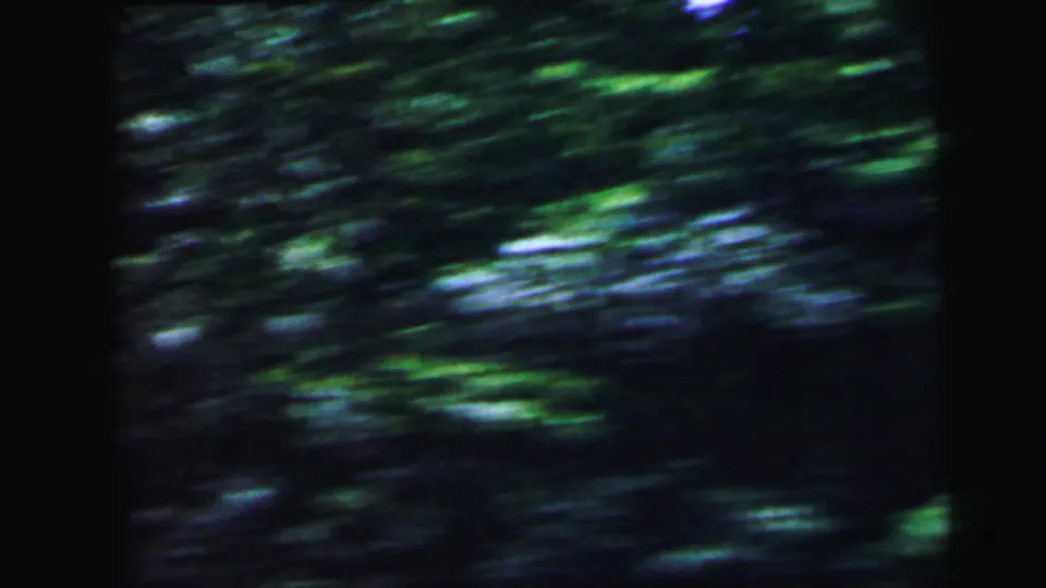 Motion-blurred 8mm shot of dense green vegetation and dappled ground cover while moving through woodland in the Camden, New Jersey area, 1964.