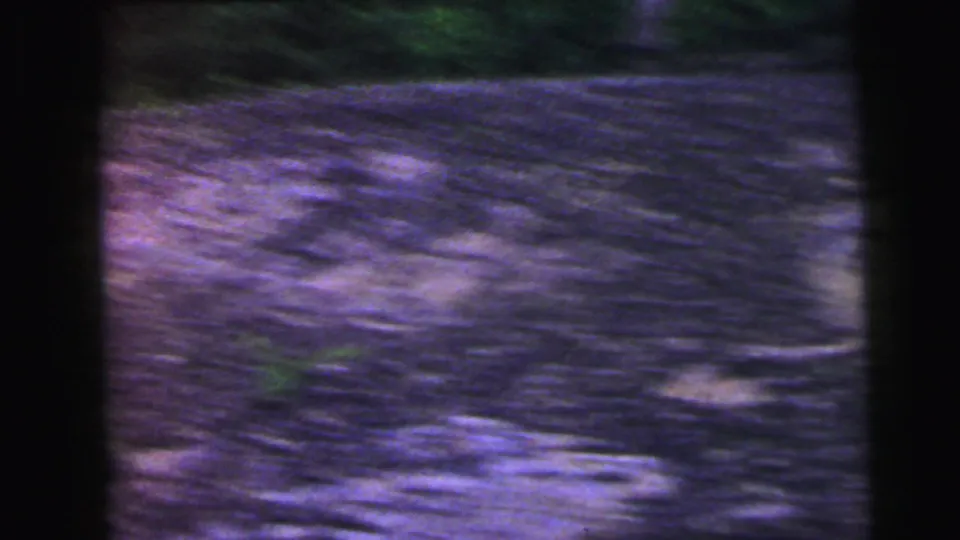 Fast camera movement produces a purple-toned blur of foliage; 8mm color shift is consistent with aging film stock from the 1964 New Jersey road clip.