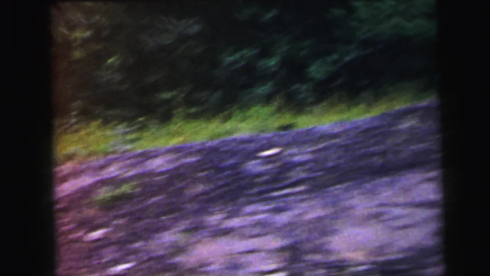 Moving-camera view along a road or path with grassy edge and dense tree line; motion blur throughout; from a 1964 8mm clip, Camden, New Jersey.