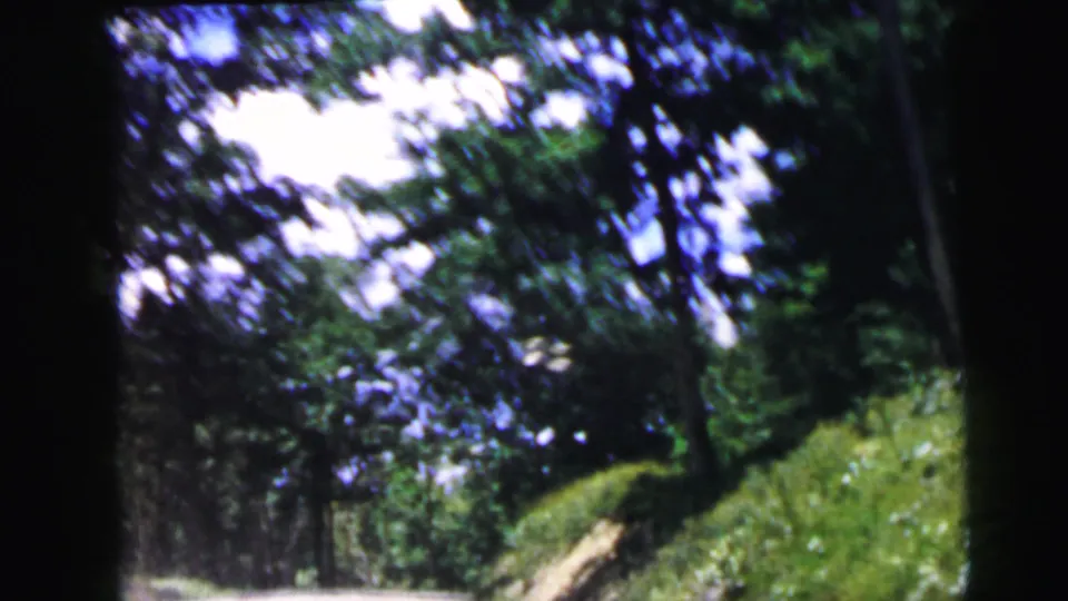 Clear sunlit road flanked by mature deciduous trees with full summer canopy and a grassy embankment; 8mm film, identified in metadata as Camden, New Jersey, 1964.