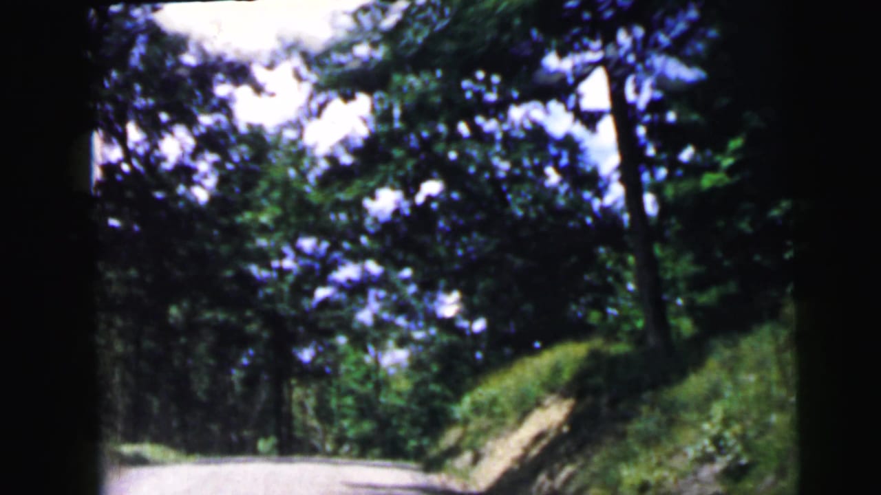 Driver's-eye view of a narrow winding road with a grassy embankment and tree canopy, shot on 8mm film.