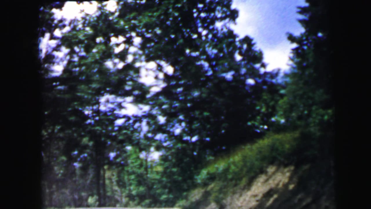 Moving car POV on a forest road with dense green tree canopy and patches of blue sky at upper right, 8mm film.
