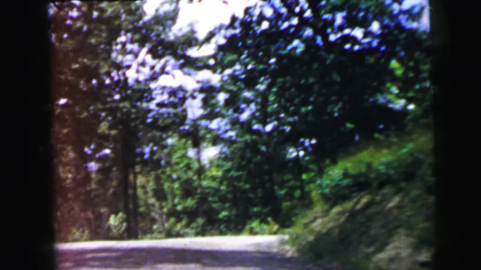 8mm home movie frame showing a car-window view of densely forested road, likely New Jersey area circa 1964, with saturated green foliage.