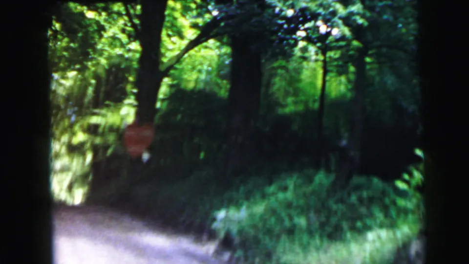 8mm home movie frame of a narrow wooded road with a partially obscured round roadside sign at right, northeastern US circa 1964.