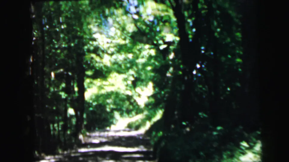 End-of-clip view down a narrow wooded lane forming a canopy tunnel, summer foliage dense on both sides, 8mm home movie identified as Camden, New Jersey, 1964