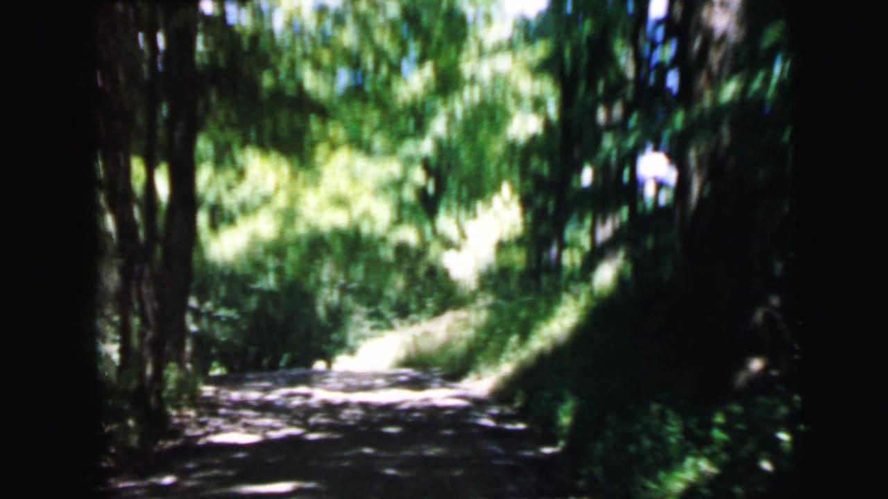 8mm home movie frame, c. 1964, forward vehicle perspective along a shaded wooded dirt road, possibly near Camden, NJ, with sun-dappled deciduous canopy overhead.