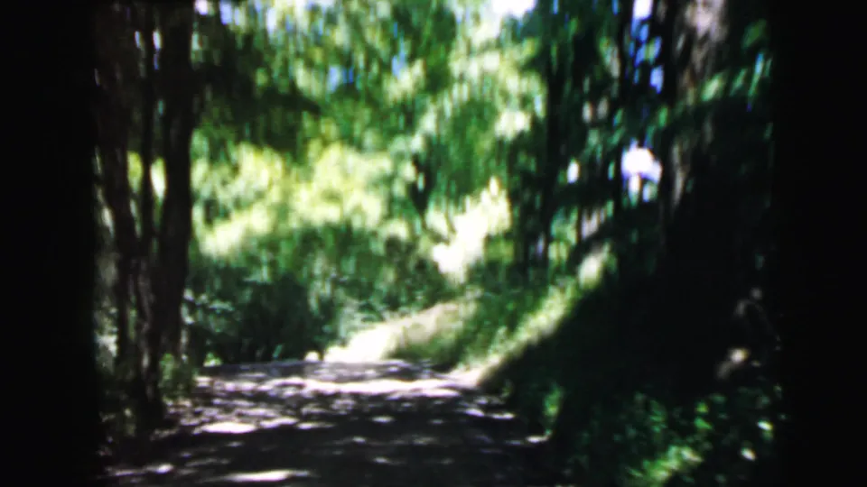 8mm home movie frame, c. 1964, forward vehicle perspective along a shaded wooded dirt road, possibly near Camden, NJ, with sun-dappled deciduous canopy overhead.