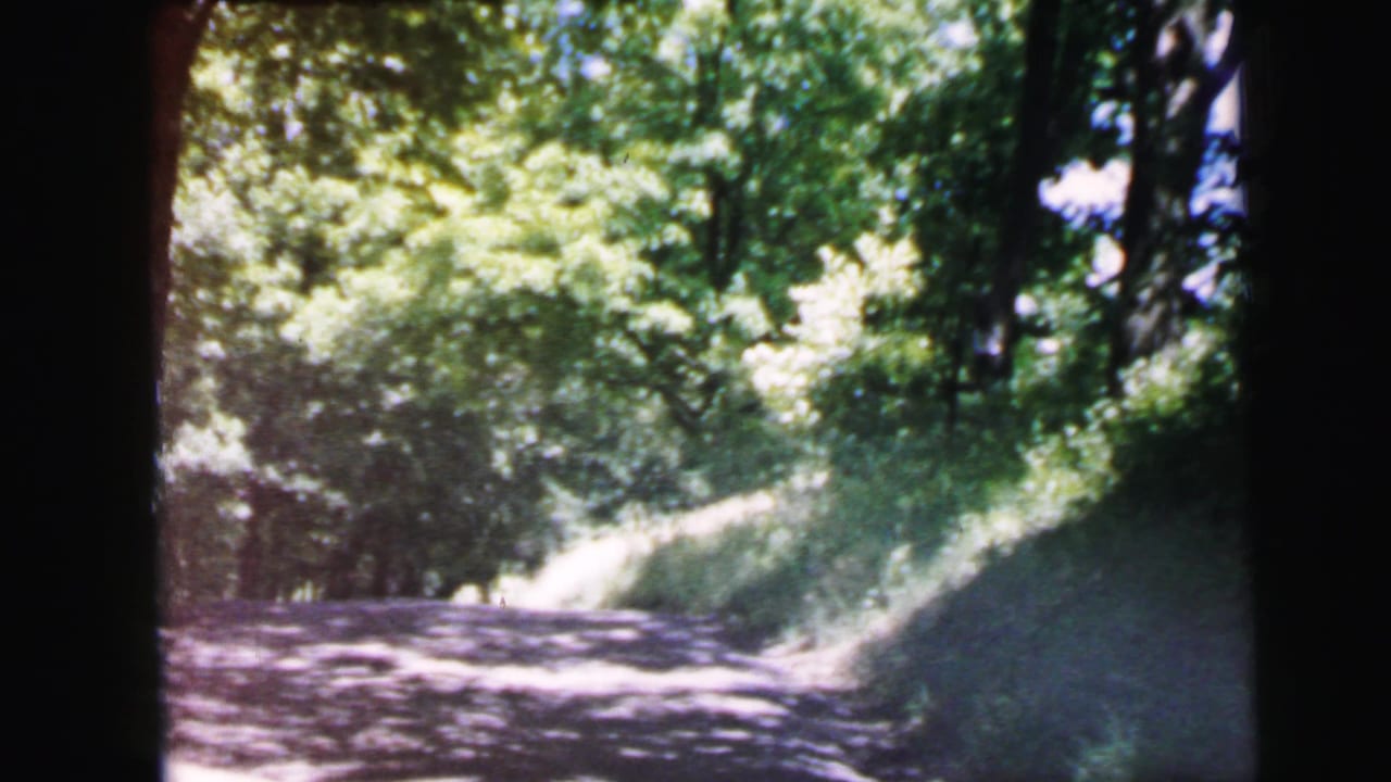 8mm film frame, c. 1964, forward drive along a sun-dappled wooded road, full summer deciduous canopy on both sides, partial unidentified structure at right edge.