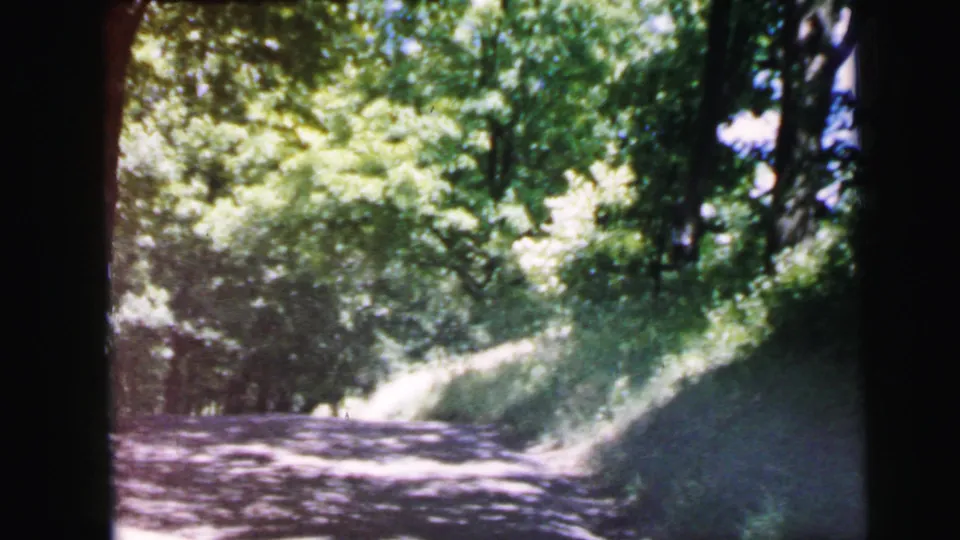 8mm film frame, c. 1964, forward drive along a sun-dappled wooded road, full summer deciduous canopy on both sides, partial unidentified structure at right edge.