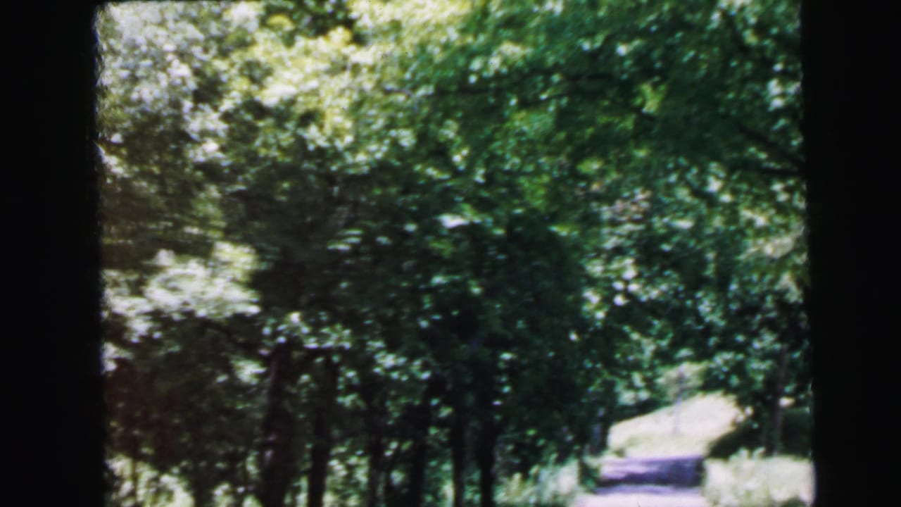 8mm home-movie frame circa 1964 showing a sun-lit wooded lane near Camden, New Jersey, with dappled light and dense deciduous trees.