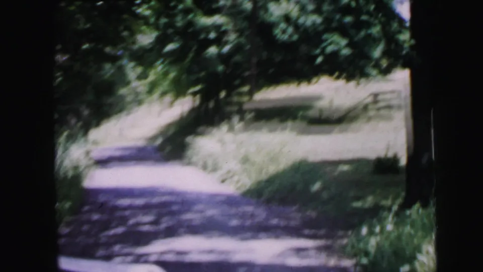 8mm home-movie frame circa 1964 showing a wooded lane with tall grasses and low shrubs lining the path, motion blur from handheld travel.