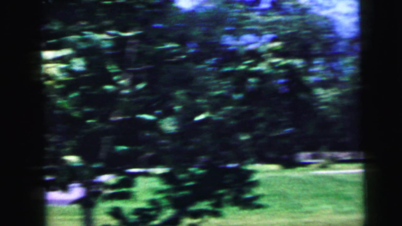 Motion-blurred 8mm shot of sunlit green trees and lawn, camera panning rapidly.