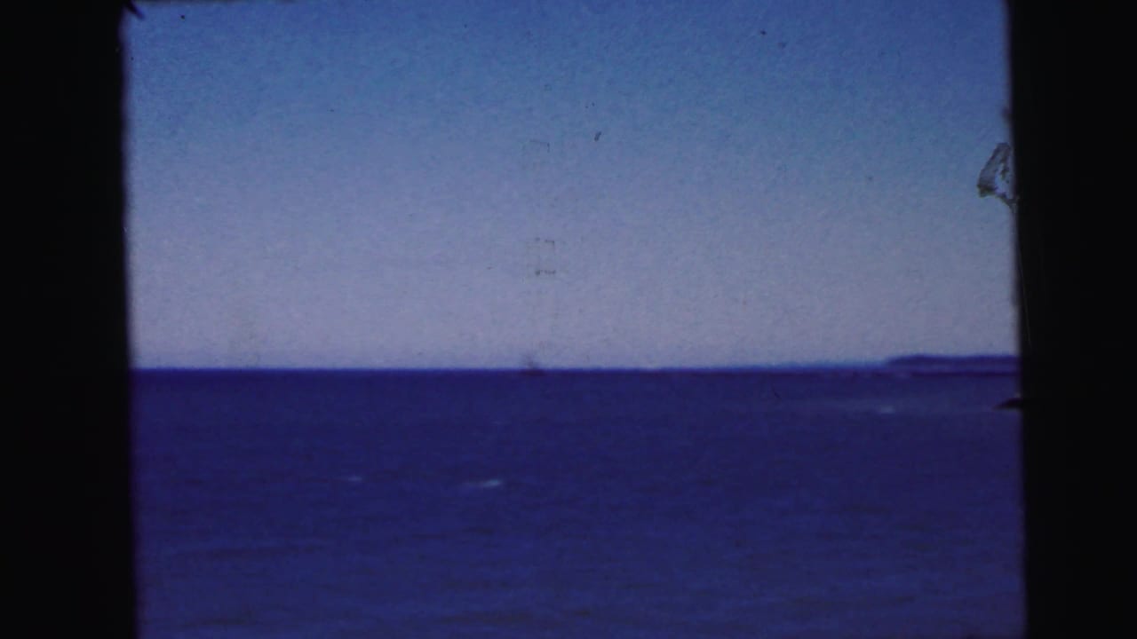 Panoramic 8mm film view of wide blue-purple water with pale sky; dark tree trunk silhouette visible at right edge.