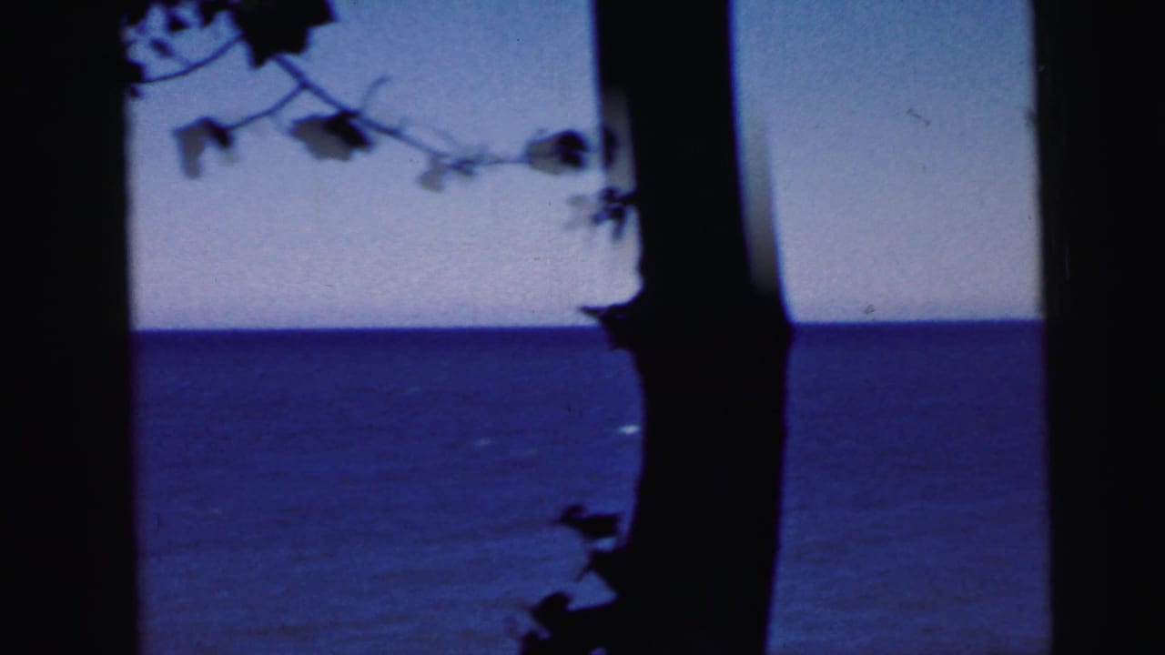 8mm film frame of blue water and sky with silhouetted tree trunk and overhanging leafy branches prominently in right foreground.