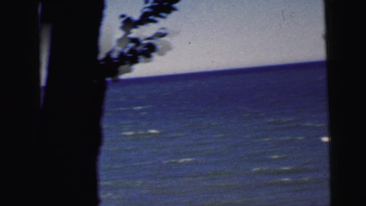 Ocean or bay view framed by a dark tree trunk silhouette on the right, shot on 8mm film with visible grain and color fading.