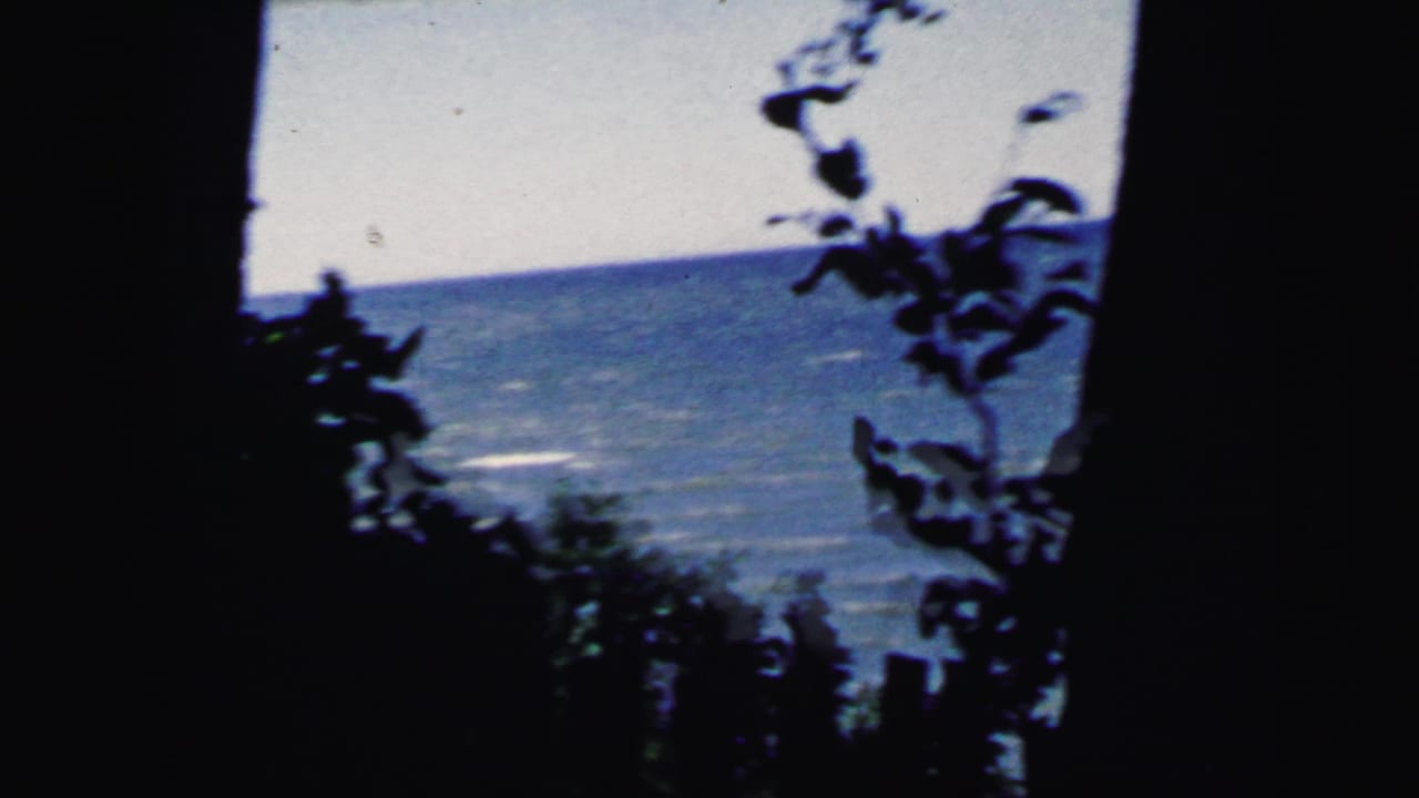 Sea or bay view at the edge of a shaded area, with tree branches and leaves framing the horizon, from a 1964 8mm vacation film in the New Jersey region.