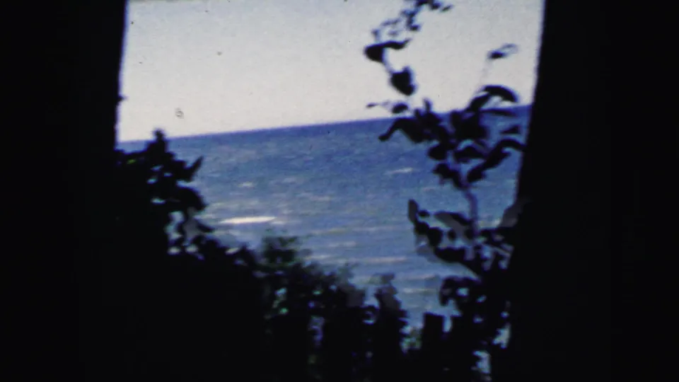 Sea or bay view at the edge of a shaded area, with tree branches and leaves framing the horizon, from a 1964 8mm vacation film in the New Jersey region.