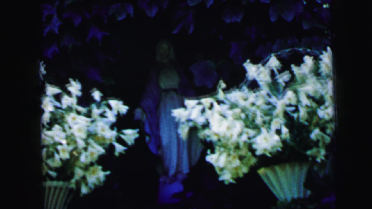 White lilies and a small garden statue in deep shade.