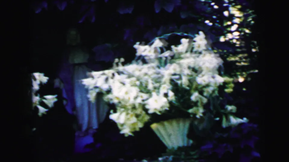 White lilies and a small statue are shown in a shaded garden, with strong 8mm color and soft focus.
