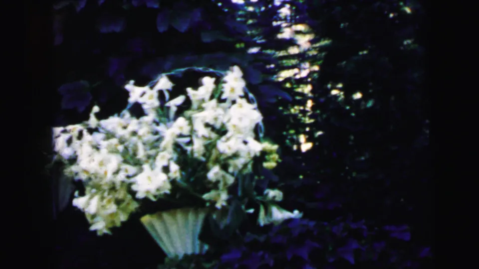 Camden 1964 8mm frame showing a white flower basket against shadowed greenery and bright leaf-filtered light.