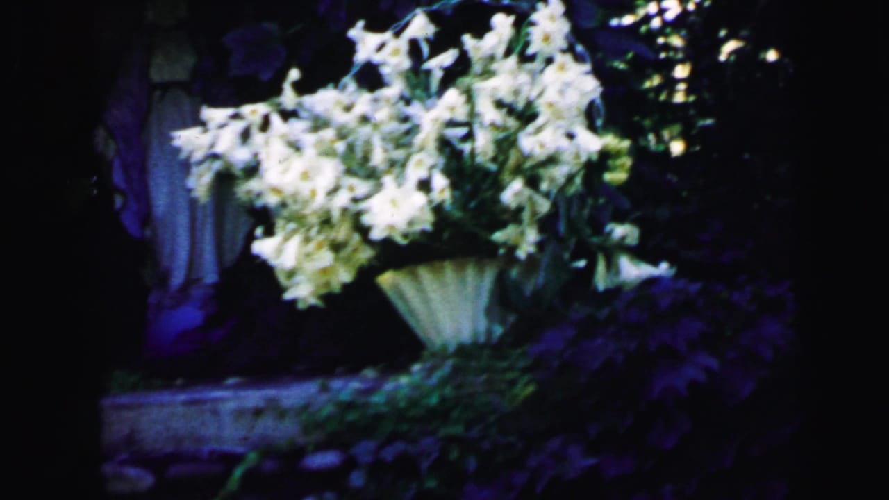 White lilies bloom in a basket on a garden ledge in footage identified as Camden, New Jersey, 1964.