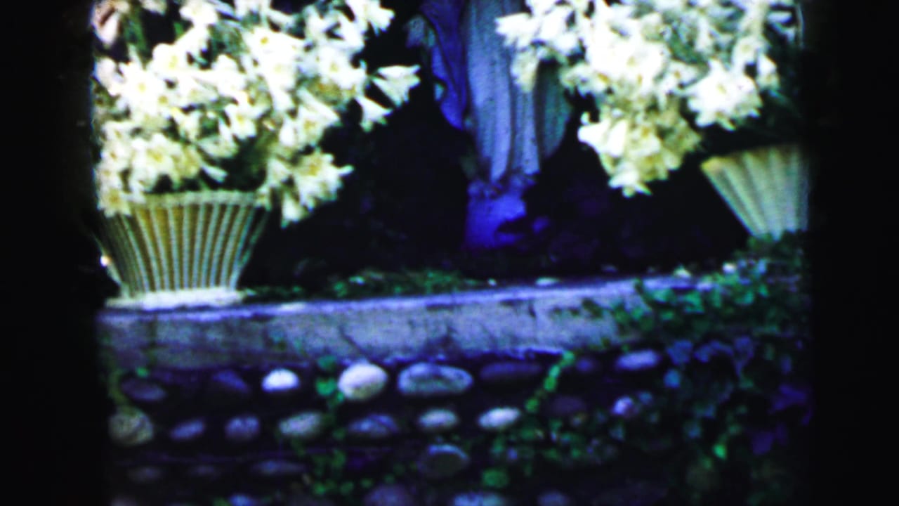 A basket of white lilies sits on a garden ledge with greenery and a pale background figure in 1964 Camden home-movie footage.