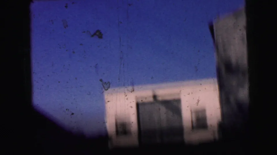 The final frame shifts from the garden to a blurred pale building facade and blue sky in the 1964 Camden footage.