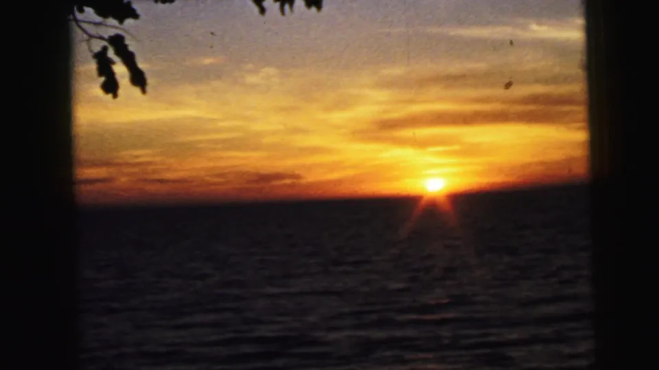 1964 8mm frame of a seaside sunset in Camden, New Jersey, with the sun low over dark water and silhouetted leaves entering from the upper left.