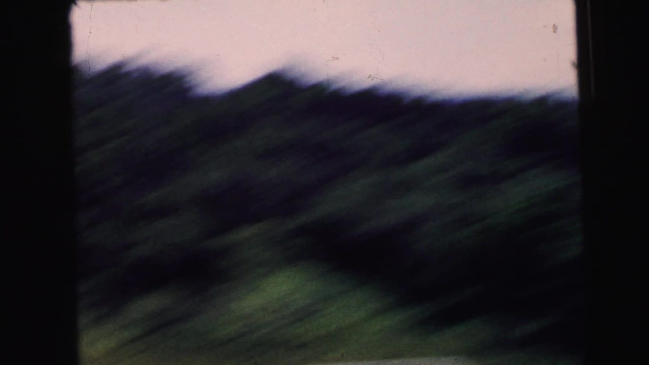 Blurred roadside greenery seen through dark car window frames.
