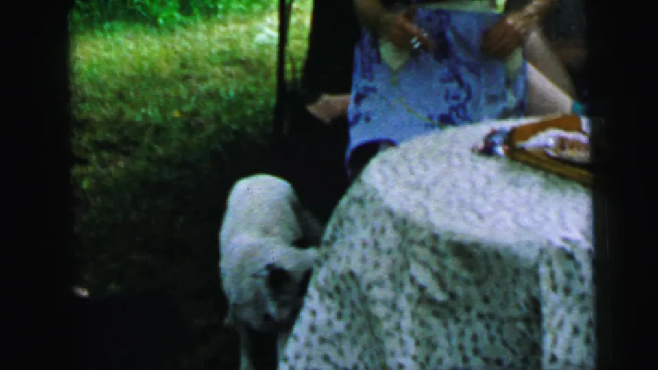 1964 Camden garden gathering frame with a small white dog beside a lace-covered tea table and partially visible women nearby.
