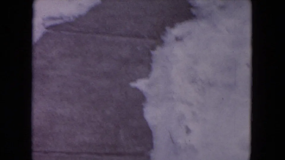 A soft 8mm frame shows the snowy sidewalk and yard edge in Evanston, with the small red-sweatered dog faintly visible at the side.